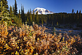 Snow-covered Mount Rainier at sunrise,with frosty vegetation on the shore and mist rising up from the water of Reflection Lake,Washington,United States of America