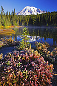 Schneebedeckter Mount Rainier bei Sonnenaufgang, mit frostiger Vegetation am Ufer und Nebel, der aus dem Wasser des Reflection Lake aufsteigt, Washington, Vereinigte Staaten von Amerika