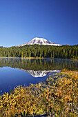 Snow-covered Mount Rainier,with autumn coloured vegetation on the shore and mist rising up from the water of Reflection Lake,Washington,United States of America
