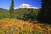 Snow-covered Mount Rainier,with autumn coloured vegetation on the shore of a tranquil Reflection Lake,Washington,United States of America