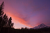 Silhouettierte Kiefern und der Gipfel des Mount Hood unter einem Sonnenuntergang Himmel in Mount Hood Wilderness, Oregon, Vereinigte Staaten von Amerika