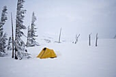 A yellow tent set up on a snowy landscape,winter camping during an Oregon winter,Oregon,United States of America