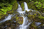 Wasserfälle, die über moosbewachsene Felsen im pazifischen Nordwesten stürzen, Oregon, Vereinigte Staaten von Amerika