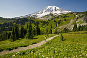 Wanderin auf einem Wanderweg im Mount Rainier National Park, mit einer üppigen Wiese im Vordergrund und einem schneebedeckten Berg im Hintergrund, Washington, Vereinigte Staaten von Amerika