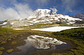 Mount Rainier spiegelt sich in einem kleinen Teich, Mount Rainier National Park, Paradise, Washington, Vereinigte Staaten von Amerika