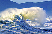 Powerful breaking waves at Cape Kiwanda,Oregon,United States of America