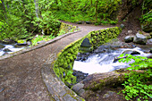 Flowing river through a culvert under a trail in the Columbia River Gorge,Oregon,United States of America