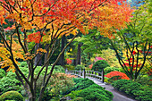 Herbstfarbenes Laub und ein Steg über einen Teich im Japanischen Garten von Portland, Portland, Oregon, Vereinigte Staaten von Amerika