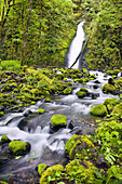 Waterfall and stream in a forested landscape with lush foliage in Columbia River Gorge,Oregon,United States of America