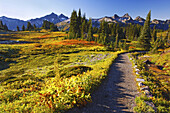 Cascade Range and autumn colours along a trail with a beautiful view,Washington,United States of America