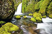 Wasserfall und Bach entlang moosbewachsener Felsen in der Columbia River Gorge,Oregon,Vereinigte Staaten von Amerika
