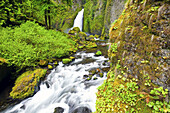 Waterfall and stream along moss-covered rocks and lush forest in Columbia River Gorge,Oregon,United States of America