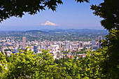 Cityscape of Portland,Oregon with the Willamette River and a view of Mount Hood and the Cascade Range in the distance,framed by foliage,Portland,Oregon,United States of America