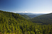 Der schneebedeckte Gipfel des Mount Hood in der Ferne und der Mount Hood National Forest im Vordergrund, Oregon, Vereinigte Staaten von Amerika