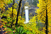 South Falls plätschert in ein Becken mit herbstlich gefärbtem Laub im Silver Falls State Park,Oregon,Vereinigte Staaten von Amerika