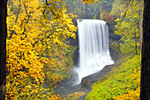South Falls splashing into a pool with autumn coloured foliage in Silver Falls State Park,Oregon,United States of America