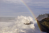 A rainbow after a rain storm along the Oregon coast in Shore Acres State Park,Oregon,United States of America