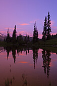Mirror image of Mount Rainier and forest reflected in Tipsoo Lake at sunrise,Mount Rainier National Park,Washington,United States of America
