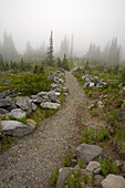 Ein vom Nebel verdeckter Wanderweg, Mount Rainier National Park, Washington, USA