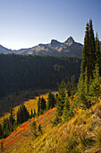 Kräftige Herbstfarben an einem Berghang mit einem Wald und schroffen Gipfeln der Cascade Range im Mount Rainier National Park,Washington,Vereinigte Staaten von Amerika