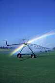 Regenbogen, der durch den Nebel der Bewässerungsanlage auf dem Ackerland im Willamette Valley, Oregon, USA, scheint