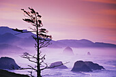 Schwerer Nebel liegt über dem Meerwasser und den Felsformationen an der Küste von Oregon während eines dramatischen Sonnenaufgangs im Ecola State Park, Oregon, Vereinigte Staaten von Amerika