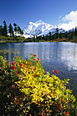 Snow-covered Mount Shuksan with Picture Lake in the foreground and Mount Baker-Snoqualmie National Forest in North Cascades National Park,Washington,United States of America