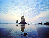 Meeresstapel entlang eines Strandes an der Küste von Oregon im Ecola State Park, Oregon, Vereinigte Staaten von Amerika