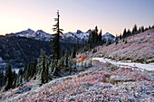 Trail through the Cascade Mountains in autumn in Mount Rainier National Park,Washington,United States of America