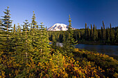 Mount Rainier with autumn colours in the meadow,forest and lake in Mount Rainier National Park,Washington,United States of America