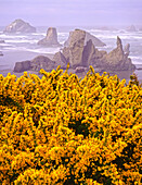 Beach and rock formations along the Oregon coast in Bandon State Park,Oregon,United States of America