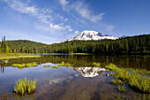Wald und Mount Rainier spiegeln sich in einem See im Mount Rainier National Park, Washington, Vereinigte Staaten von Amerika