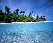 Palmen säumen den weißen Sandstrand einer Insel mit klarem, türkisfarbenem Wasser und blauem Himmel,Cook-Inseln