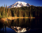 Mount Rainier und Wald spiegeln sich im ruhigen Wasser eines Sees im Mount Rainier National Park, Washington, Vereinigte Staaten von Amerika