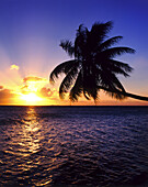 Sonnenlicht, das bei Sonnenuntergang über dem Meer leuchtet, mit einer Palmensilhouette, die sich vom Ufer aus erstreckt, Malediven