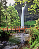 Fußgängerbrücke über einen Bach mit einem Wasserfall im Silver Falls State Park,Oregon,Vereinigte Staaten von Amerika