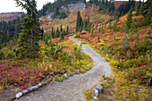 Wanderweg durch den Mount Rainier National Park im Herbst,Washington,Vereinigte Staaten von Amerika
