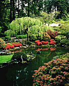 Üppiges und blühendes Laub im japanischen Park von Portland, Washington Park, Portland, Oregon, Vereinigte Staaten von Amerika