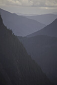 Silhouettierte Schichten von Bergen und Wald in der Tatoosh Range, Mount Rainier National Park, Washington, Vereinigte Staaten von Amerika