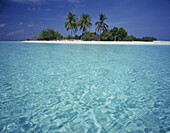 Palmen säumen den weißen Sandstrand einer Insel mit klarem türkisfarbenem Wasser und strahlend blauem Himmel,Cookinseln