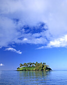 Palmen und üppiges Blattwerk bedecken eine kleine Insel auf den Cookinseln,Cookinseln