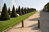 Menschen spenden Schatten unter gepflegten Bäumen in den Gärten des Schlosses von Versailles,Versailles,Frankreich