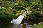 A footbridge,garden and walkway through San Francisco's Japanese Tea Garden.,Japanese Tea Garden,San Francisco,California