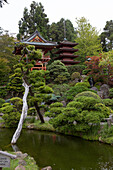 Blick auf eine Pagode, Gärten und einen ruhigen Teich in den Landschaftsgärten des Japanischen Teegartens von San Francisco,Japanischer Teegarten,San Francisco,Kalifornien