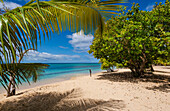 Anse du Souffleur,Port-Louis,Grande-Terre,Guadeloupe,French West Indies,Port-Louis,Grande-Terre,Guadeloupe,France