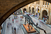 Tourists explore the British Museum of Natural History in London,England.