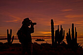 Fotograf bei Sonnenaufgang, Baja California, Mexiko.