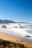 Morning fog adds beauty to Ecola State Park looking south to Haystack Rock and Cannon Beach,Oregon,United States of America