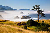 Morgennebel verleiht dem Ecola State Park mit Blick nach Süden zum Haystack Rock und Cannon Beach, Oregon, Vereinigte Staaten von Amerika, eine besondere Schönheit