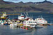 A view of the harbour at Djupivogur,Eastern Iceland,Djupivogur,Iceland